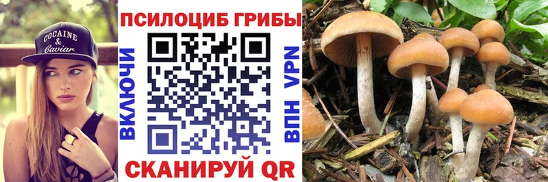 Галлюциногенные грибы GOLDEN TEACHER Купить закладки Бикин
